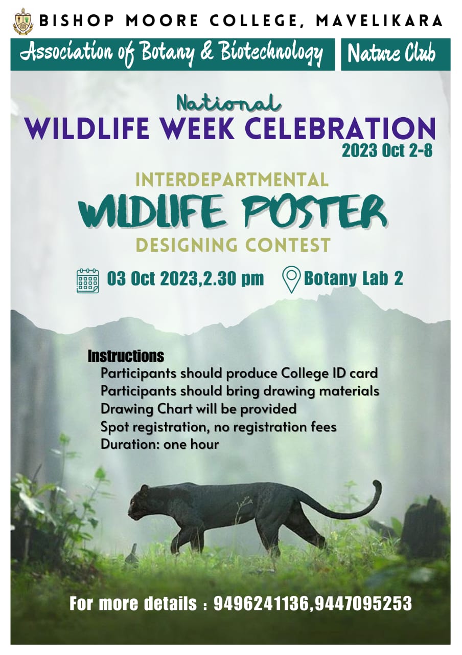 uploads/wild poster-2023-09-29-18-26-31.555.jpeg